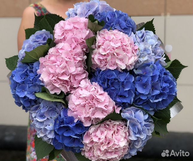Букеты с гортензиями с круглосуточной доставкой