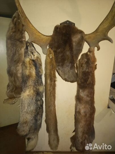 Шкурка бобра (имитация)