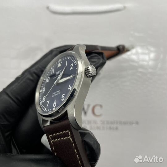 Iwc
