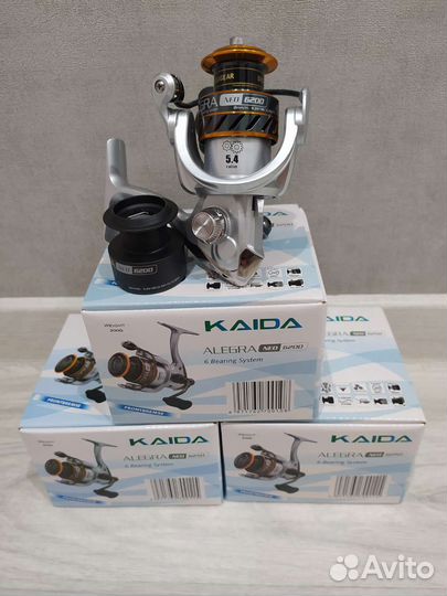Катушка Каида Alegra Neo 6200