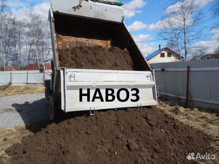 Самосвалом Навоз