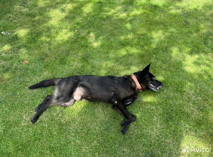 Кабель для вязки