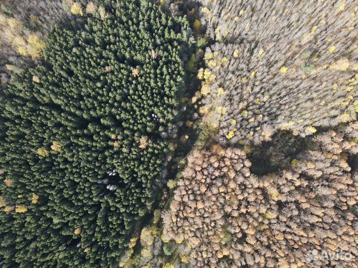 Съёмка с квадрокоптера, аэросъёмка, съемка с дрона