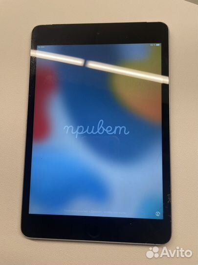 iPad mini 4 128gb cellular