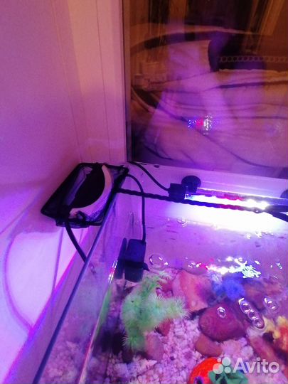 Аквариум с рыбками