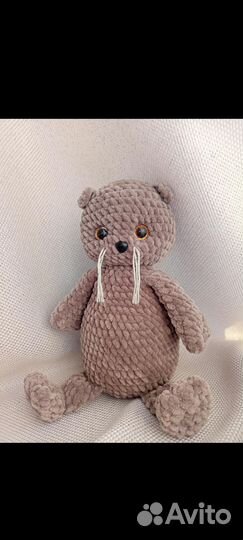 Котик Басик