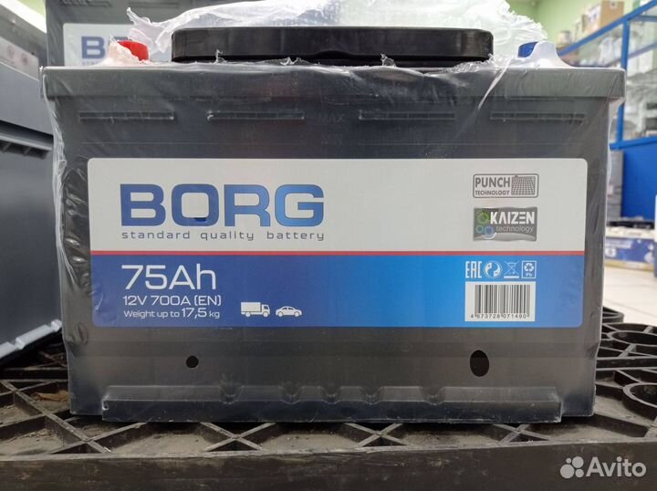 Аккумуляторы borg