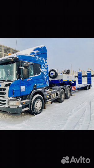 Аренда трала перевозка спецтехники