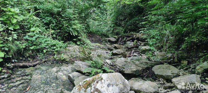 Индивидуальные экскурсии по Абхазии