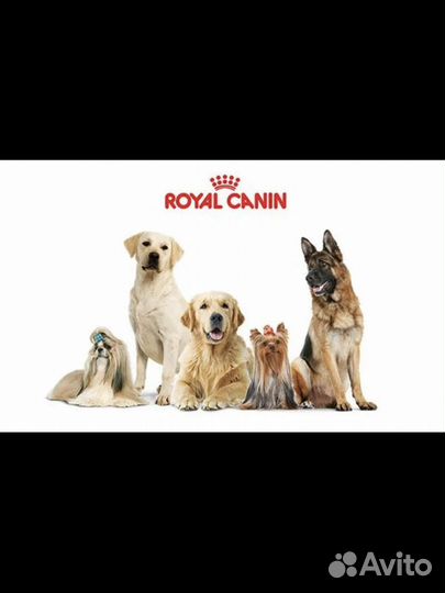 Корм для собак Роял Канин Royal Canin