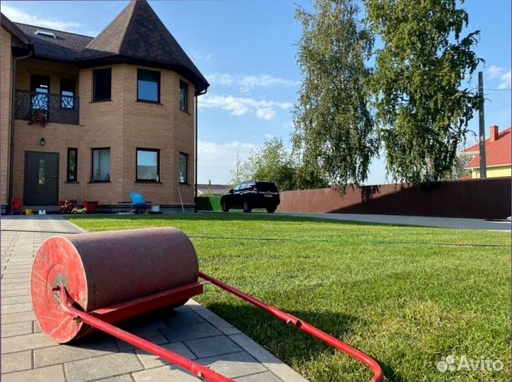 Рулонный газон для дома и дачи