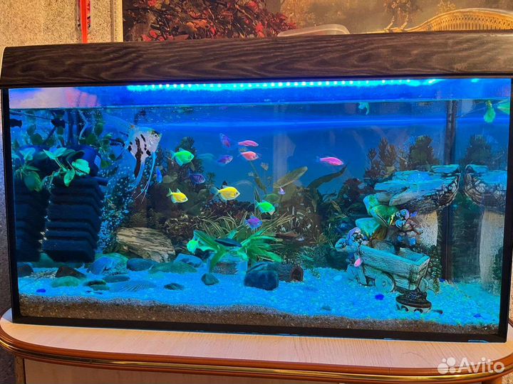 Аквариум