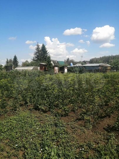 Дача 40 м² на участке 10 сот.