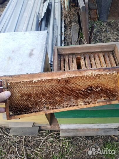 Продам ульи для пчел