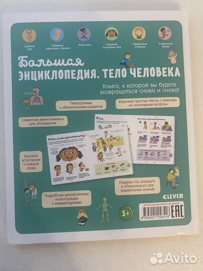 Детская энциклопедия тело человека