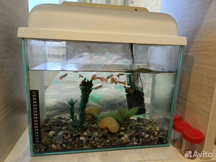 Аквариум