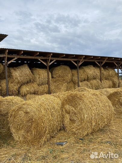 Солома в рулонах