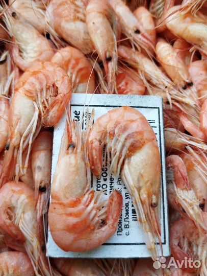 Креветка Азовская (Черноморская )
