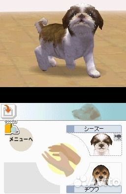 Nintendogs Dachshund and Friends, б/у, английский