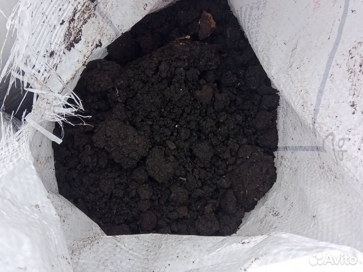 Земля чернозем