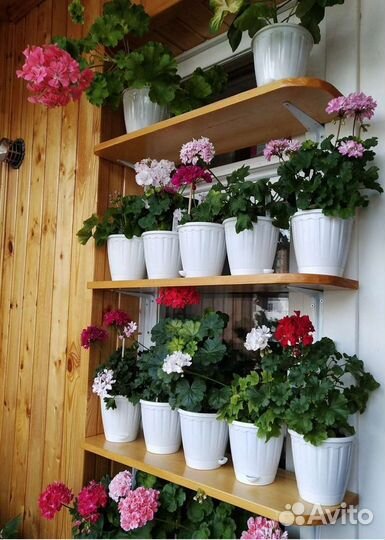 Горшок для цветов