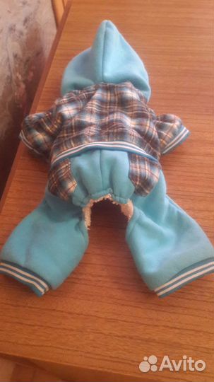 Одежда для собак