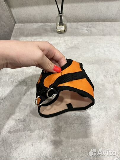 Одежда для собак