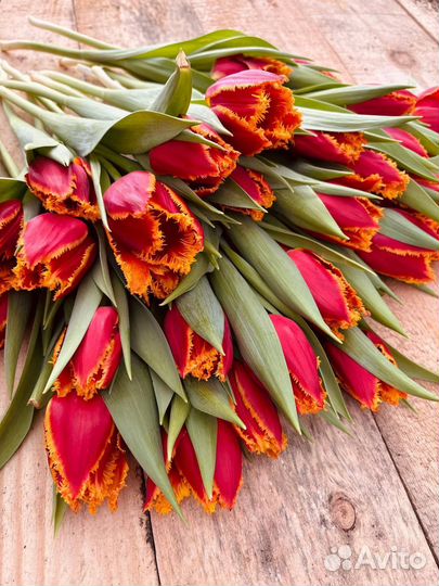 Тюльпаны с луковицами