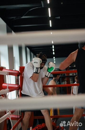 Тренировки по боксу