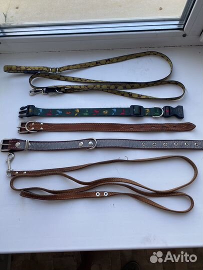 Одежда и аксессуары для собак