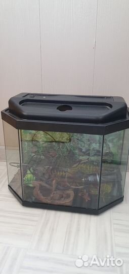 Аквариум