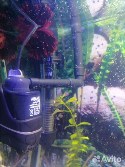 Продам аквариум