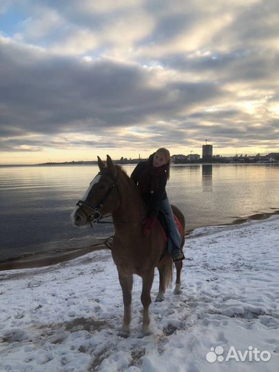 Конная прогулка