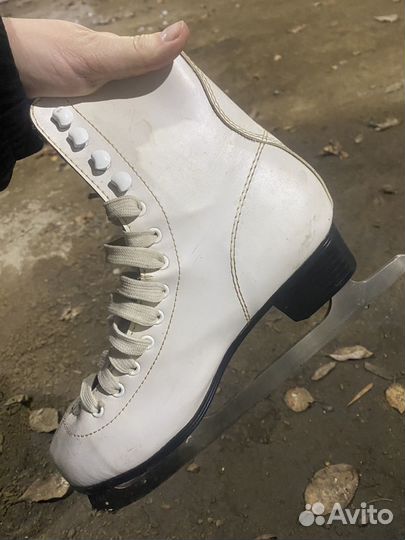 Коньки мужские и женские