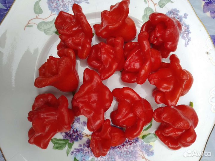 Семена острого перца Колокольчик