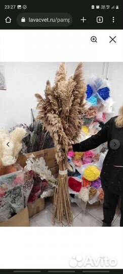 Камыш сухоцвет натуральный