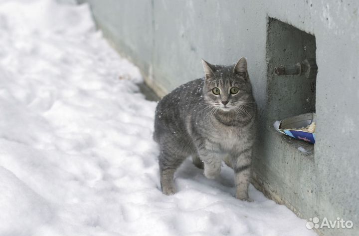 Юся