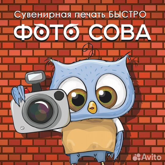 Графический дизайнер, фотограф