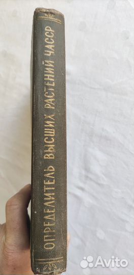 Определитель высших растений Чувашской АССР 1965