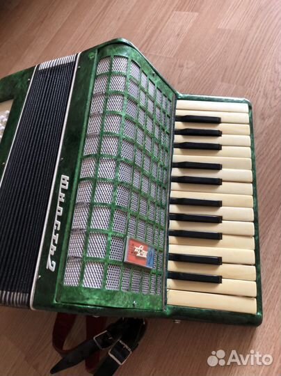 Аккордеон Юность