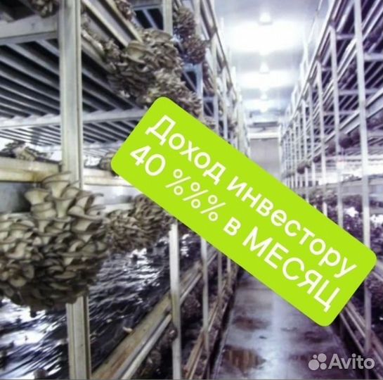 Инвестор, партнёр.залог. Мощный грибной бизнес