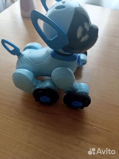 Собака робот