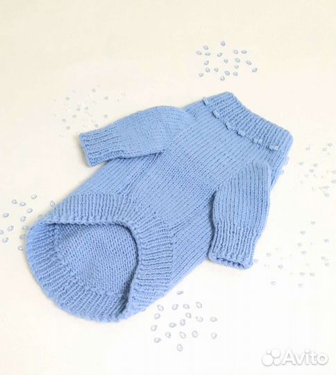 Одежда для собак мелких пород