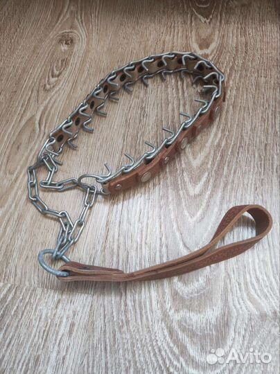 Строгий ошейник для собак