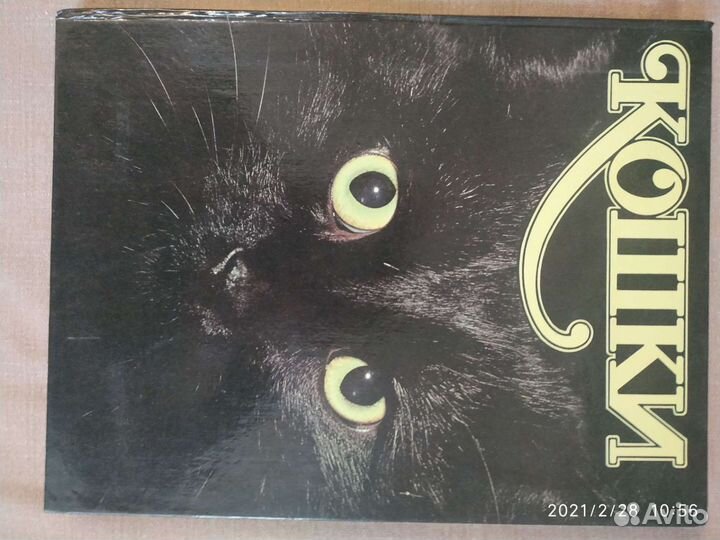 Книги-альбомы