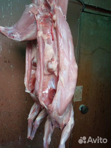 Мясо кролика