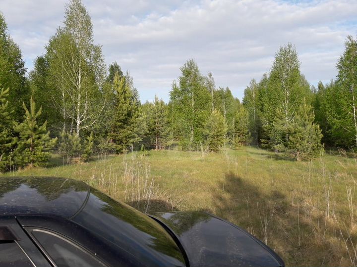 Участок 12 сот. (СНТ, ДНП)