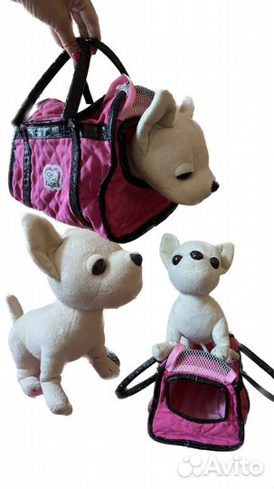 Собака Чи-чи Лав в сумочке