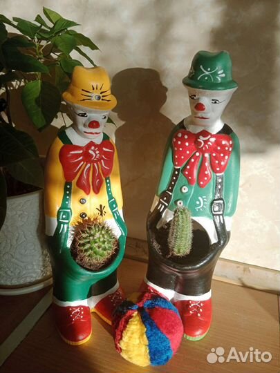 Подарок,кактус,эхинокактус,суккулент