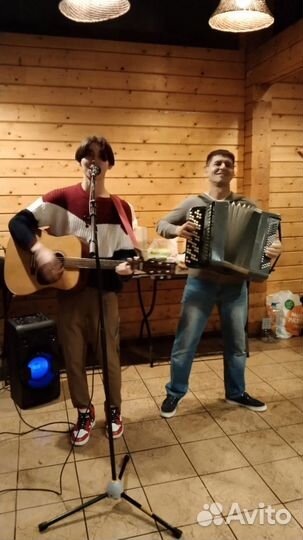 Музыканты на праздник(баянист, вокалист)